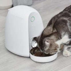 Dogness Mini App Automated Pet Feeder -PawHut Sales Store GUEST 73c38f8e 1bf2 4927 978d d0697be0455a