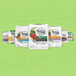 Nutro Natural Choice Chicken & Brown Rice Senior Small Breed Dry Dog Food - 5lbs -PawHut Sales Store GUEST 74c439c6 f65f 45df b2b3 c40f0ccae54a 2