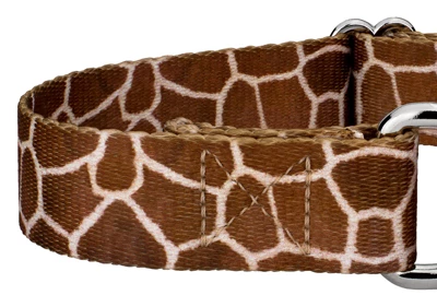 Country Brook Petz Giraffe Martingale Dog Collar 6 Country Brook Petz Giraffe Martingale Dog Collar - Image 6