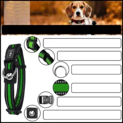 DDOXX Reflective Airmesh Dog Collar - Small - Green