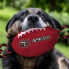 NFL San Francisco 49ers Nylon Football
