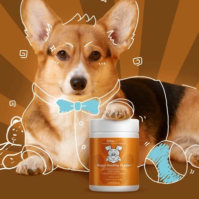 Codeage DNA PET Happy Healthy Organs & Glands Supplement For Dogs, Multi-Organ Powder, Canine Vitamins, 3 Oz 4 Codeage DNA PET Happy Healthy Organs & Glands Supplement For Dogs, Multi-Organ Powder, Canine Vitamins, 3 Oz - Image 4