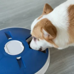 PawsMark 6-Meal Automatic Pet Feeder LCD Smart Programmable Time Setting Pet Dog Cat Food Compartment Dispenser 16 PawsMark 6-Meal Automatic Pet Feeder LCD Smart Programmable Time Setting Pet Dog Cat Food Compartment Dispenser -PawHut Sales Store GUEST 775db493 b150 40df 8b7e 7cd5fe7ce633