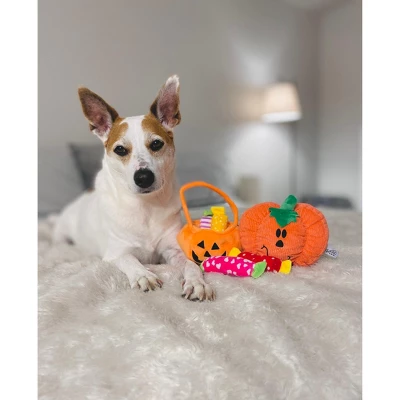 Midlee Find A Toy Halloween Pumpkin Bucket Dog Toy 4 Midlee Find A Toy Halloween Pumpkin Bucket Dog Toy - Image 4