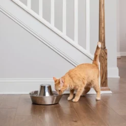 PetSafe Seaside Stainless Pet Fountain - Black 11 PetSafe Seaside Stainless Pet Fountain - Black -PawHut Sales Store GUEST 7824b926 2a7a 4fa1 a926 1ef689cb4316