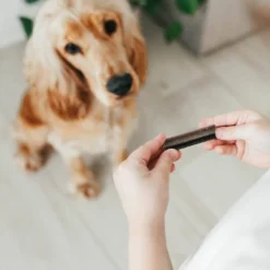 Zesty Paws Hemp Elements Behavior Calming OraStix For Dogs - Peppermint Flavor 9 Zesty Paws Hemp Elements Behavior Calming OraStix For Dogs - Peppermint Flavor -PawHut Sales Store GUEST 784f3722 b040 48ee 9bc4 ebcba59e983f