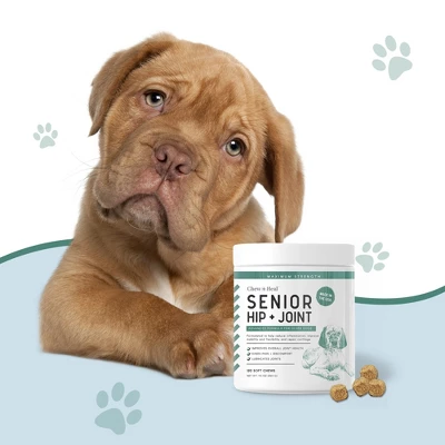 Chew + Heal Senior Hip And Joint Support, Dog Supplement, Aids Mobility, Joint & Cartilage Health - 120 Delicious Chews 4 Chew + Heal Senior Hip And Joint Support, Dog Supplement, Aids Mobility, Joint & Cartilage Health - 120 Delicious Chews - Image 4