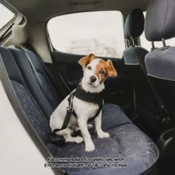 Pet Adobe 4-Step Folding Pet Stairs - 22.5" X 15" X 19.5", Tan 7 Pet Adobe 4-Step Folding Pet Stairs - 22.5" X 15" X 19.5", Tan -PawHut Sales Store GUEST 7901e6e7 17f6 4e51 8529 dd8b59cd8d4e