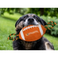 NCAA Miami Hurricanes Nylon Football Dog Toy