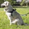 Happilax Adjustable Norwegian No Pull Dog Harness, Large