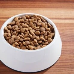 IAMS Healthy Aging Adult Dry Dog Food For Mature And Senior Dogs With Real Chicken -PawHut Sales Store GUEST 7c3ed40c cf32 4369 b5b2 4fde8b3538b1