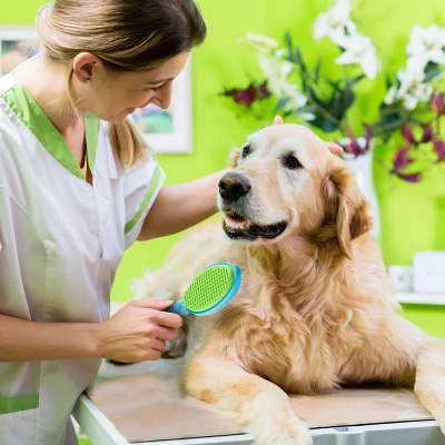 BOSHEL Dog Hair Brush & Pet Hair Remover – 2-In-1 Dog Grooming Brush With Safety Rounded Pins + Dog Hair Remover, Cleans The Hairy Mass 5 BOSHEL Dog Hair Brush & Pet Hair Remover – 2-In-1 Dog Grooming Brush With Safety Rounded Pins + Dog Hair Remover, Cleans The Hairy Mass - Image 5