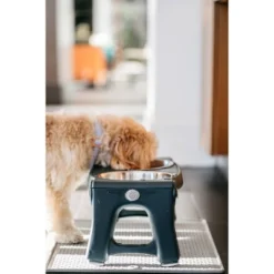 Dexas Grippmat - S - Gray -PawHut Sales Store GUEST 7d1c1fc6 9cbf 4f85 b4a3 336b0aefc105 1