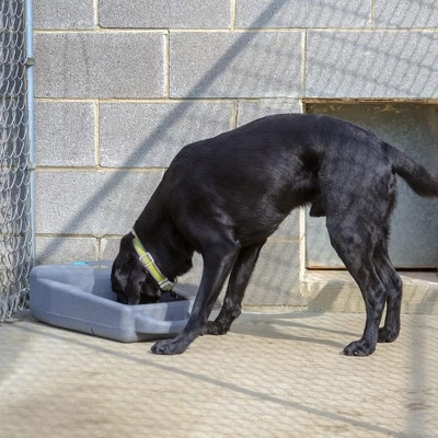 Dakota 283 Dash 3.5-Gallon Weatherproof Dog & Pet Water Dispenser System For Home & Outdoor Use W/Built-In Rubber Plug, Coyote Tan 3 Dakota 283 Dash 3.5-Gallon Weatherproof Dog & Pet Water Dispenser System For Home & Outdoor Use W/Built-In Rubber Plug, Coyote Tan - Image 3