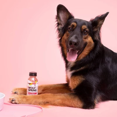 Wolf Spring Multivitamin Wet Dog Food Topper Supplement With Coconut Water 3 Wolf Spring Multivitamin Wet Dog Food Topper Supplement With Coconut Water - Image 3