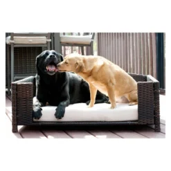 Iconic Pet Beds For Dogs And Cats - Rattan Rectangular Sofa 16 Iconic Pet Beds For Dogs And Cats - Rattan Rectangular Sofa -PawHut Sales Store GUEST 7d90b53c 350e 4a81 9f9c 9391b44bb81b 1