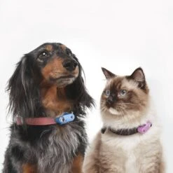 Tickless Natural Flea & Tick Repellent For Dogs - Hot Peach