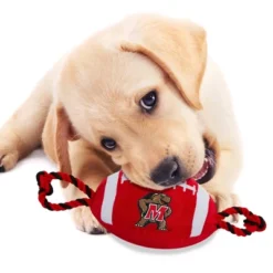 NCAA Maryland Terrapins Nylon Football Dog Toy -PawHut Sales Store GUEST 7e54afac f041 4ef1 9cd9 6b23c9028e60