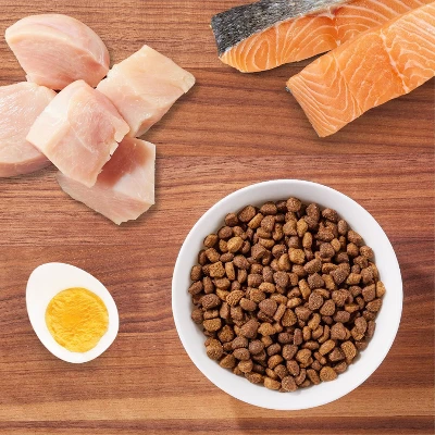 IAMS Proactive Health Hairball Care With Chicken & Salmon Adult Premium Dry Cat Food 1 IAMS Proactive Health Hairball Care With Chicken & Salmon Adult Premium Dry Cat Food