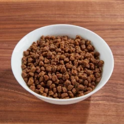 IAMS Proactive Health With Chicken Kitten Premium Dry Cat Food -PawHut Sales Store GUEST 816eddfe 3220 465c a881 92a12eecdc42