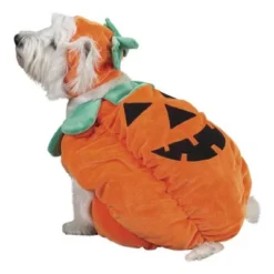 Zack & Zoey Pumpkin Pooch Dog Costume 15 Zack & Zoey Pumpkin Pooch Dog Costume -PawHut Sales Store GUEST 81dcefaf 2b9c 4af2 baf4 a5562b662e24