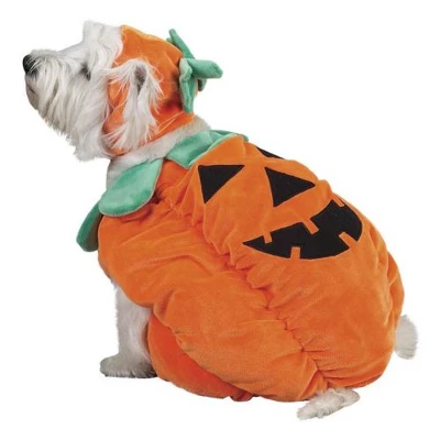 Zack & Zoey Pumpkin Pooch Dog Costume 8 Zack & Zoey Pumpkin Pooch Dog Costume - Image 8