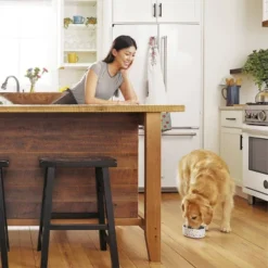 IAMS Proactive Health Minichunks Chicken & Whole Grains Recipe Adult Premium Dry Dog Food 14 IAMS Proactive Health Minichunks Chicken & Whole Grains Recipe Adult Premium Dry Dog Food -PawHut Sales Store GUEST 826fe55c 5702 470c b0f9 3ced310bc843