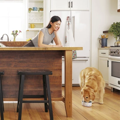 IAMS Proactive Health Minichunks Chicken & Whole Grains Recipe Adult Premium Dry Dog Food 5 IAMS Proactive Health Minichunks Chicken & Whole Grains Recipe Adult Premium Dry Dog Food - Image 5