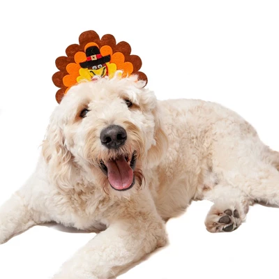 Midlee Turkey Dog Headband 1 Midlee Turkey Dog Headband