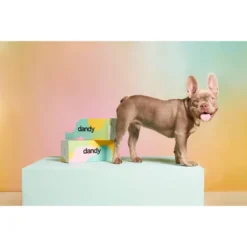 Dandy Pet Anxiety Supplement For Small Dog - Beef - 30ct 5 Dandy Pet Anxiety Supplement For Small Dog - Beef - 30ct -PawHut Sales Store GUEST 84b20cc8 4167 4d91 bb0f da389d4bdd5c