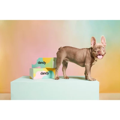 Dandy Pet Anxiety Supplement For Small Dog - Beef - 30ct 3 Dandy Pet Anxiety Supplement For Small Dog - Beef - 30ct - Image 3