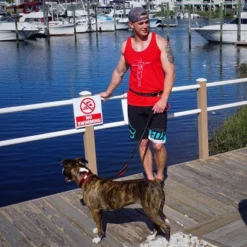 Black Rhino 5 Ft Hands Free Dog Leash For Medium To Large Dogs - Black & Red -PawHut Sales Store GUEST 85aed4f3 612a 4afb a1cc 4d30ee90275d