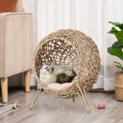 PawHut Rattan Cat Bed Elevated Wicker Kitten House With Cushion, Natural, 20.5" X 20.5" X 22.75"