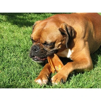 Pawstruck Natural Jumbo Pig Ears Chews For Dogs | Premium Pork Treats Made In USA | Supports Dental Health | No Artificial Ingredients 2 Pawstruck Natural Jumbo Pig Ears Chews For Dogs | Premium Pork Treats Made In USA | Supports Dental Health | No Artificial Ingredients - Image 2
