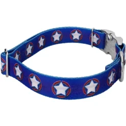Country Brook Petz Premium American Stars Dog Collar And Leash -PawHut Sales Store GUEST 877c0ed0 8f96 4fd3 bf8b 36081d914833