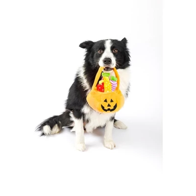 Midlee Find A Toy Halloween Pumpkin Bucket Dog Toy 5 Midlee Find A Toy Halloween Pumpkin Bucket Dog Toy - Image 5