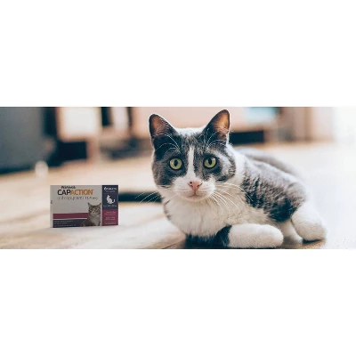 CapAction Flea Treatment For Cats - 2-25lbs 4 CapAction Flea Treatment For Cats - 2-25lbs - Image 4