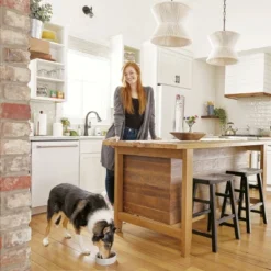 IAMS Healthy Aging Adult Dry Dog Food For Mature And Senior Dogs With Real Chicken -PawHut Sales Store GUEST 89645f54 df29 4a9d 9d6e a7d19946c8c5