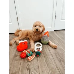 Midlee Gnome Hidden Ball Christmas Dog Toy 7 Midlee Gnome Hidden Ball Christmas Dog Toy -PawHut Sales Store GUEST 8a60a1da 5e93 40d4 8f2a d598f5fd05c5