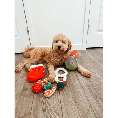 Midlee Gnome Hidden Ball Christmas Dog Toy 3 Midlee Gnome Hidden Ball Christmas Dog Toy - Image 3