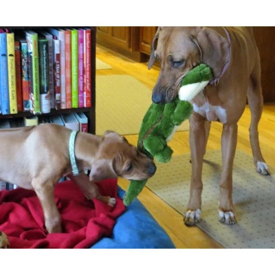 Fluff & Tuff Big Daddy Gator Dog Toy 3 Fluff & Tuff Big Daddy Gator Dog Toy - Image 3