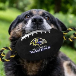 NFL Baltimore Ravens Nylon Football