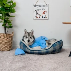 Midlee Scrubs Dog Costume - Large -PawHut Sales Store GUEST 8c76f48f 88c1 4c72 800e 8b21c834ab82 1