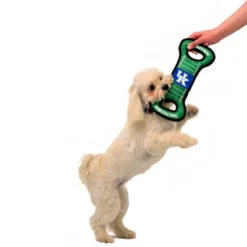 NCAA Kentucky Wildcats Football Field Dog Toy -PawHut Sales Store GUEST 8c90b2f4 8faa 45d2 a0da 8eab73d8efa9