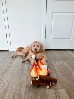 Midlee Campfire Dog Toy 4 Midlee Campfire Dog Toy - Image 4