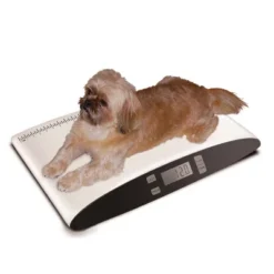 Precision Digital Pet Scale