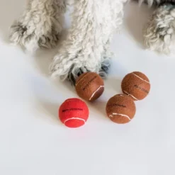 Midlee Red Nose Christmas Dog Tennis Balls (Standard)