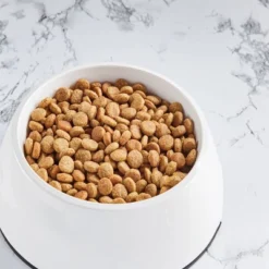 Nutro So Simple Beef Dry Dog Food -PawHut Sales Store GUEST 8e6056b4 0665 4dfb a0c2 f76c2f7bf11a