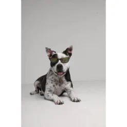 PawHut Sales Store -PawHut Sales Store GUEST 8ecad0e9 f709 4672 afd1 fbc2f28c4f00