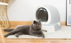 PawsMark Fully Enclosed Hooded Litter Pan With Front Entry Odor Close Door, Cat Litter Scoop Included